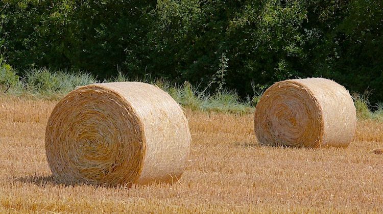 PLAN FOURRAGE – Les Landes au soutien des exploitations